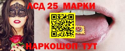 стаф Краснодар