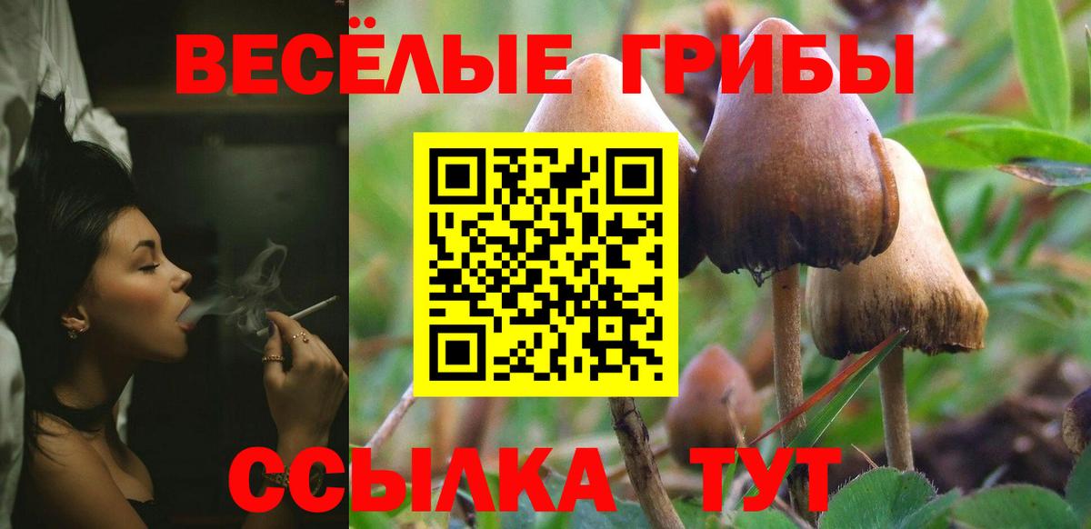 Ишим  как найти закладки  Вход с VPN  Галлюциногенные грибы мицелий 