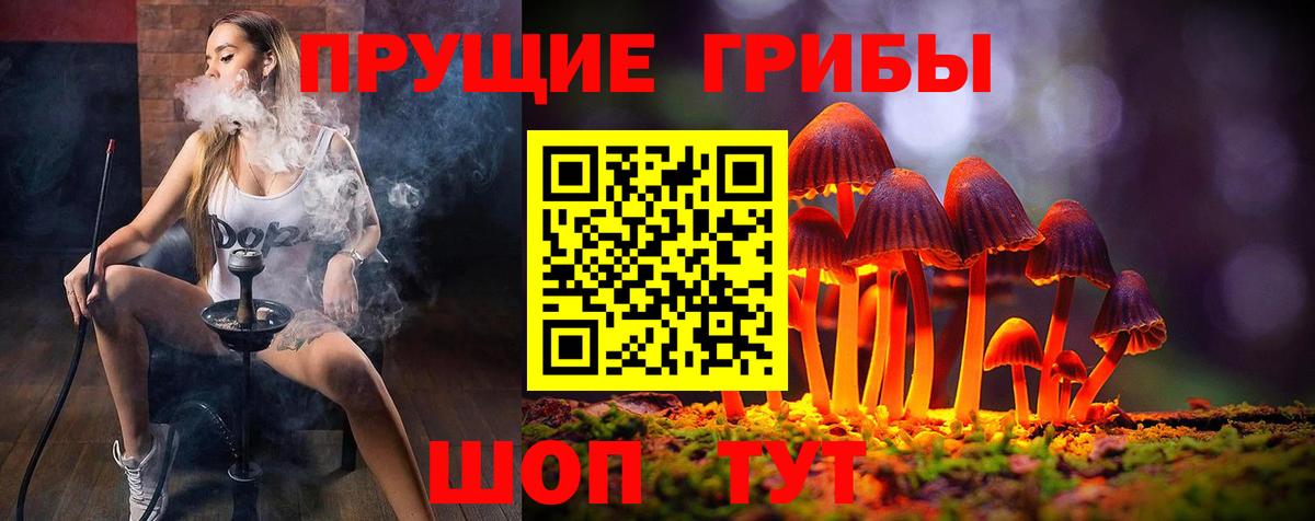 Галлюциногенные грибы GOLDEN TEACHER Ишим